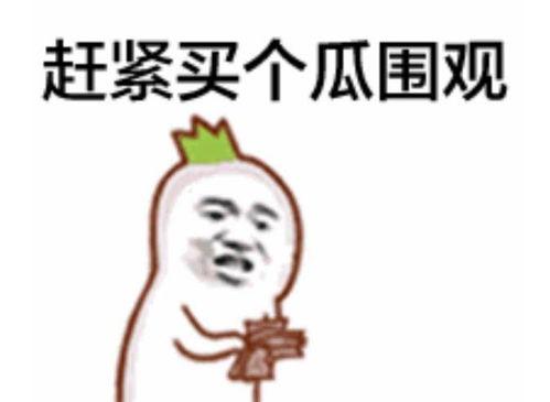 网红游戏吃瓜群众是谁,背后的故事与影响力