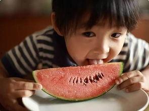 娱乐吃瓜酱一年级